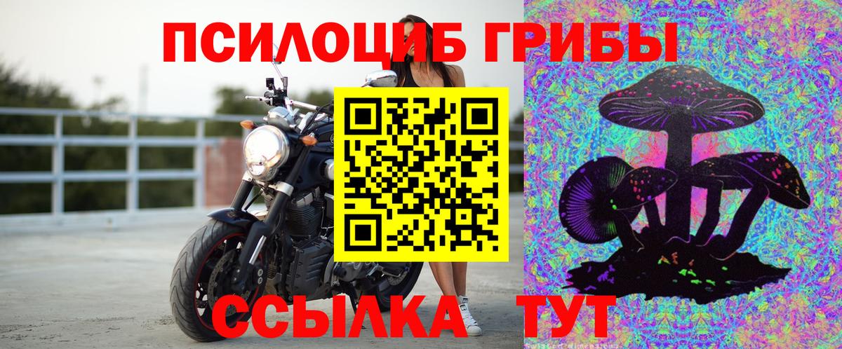 Псилоцибиновые грибы Magic Shrooms  Галлюциногенные грибы Psilocybe  Кушва  Вход с VPN 