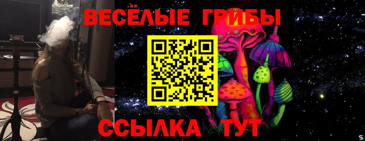 Галлюциногенные грибы Psilocybine cubensis Кушва